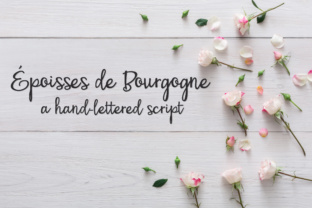 PN Époisses De Bourgogne Font for Bold Marketing